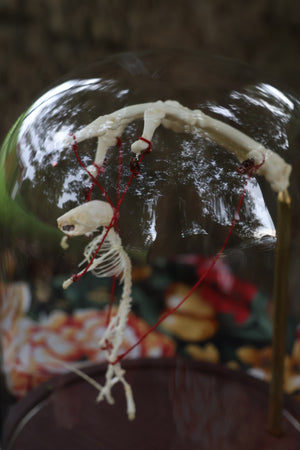 The Puppeteer
