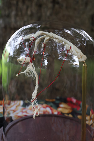The Puppeteer