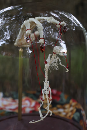 The Puppeteer