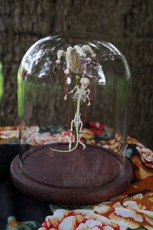 The Puppeteer