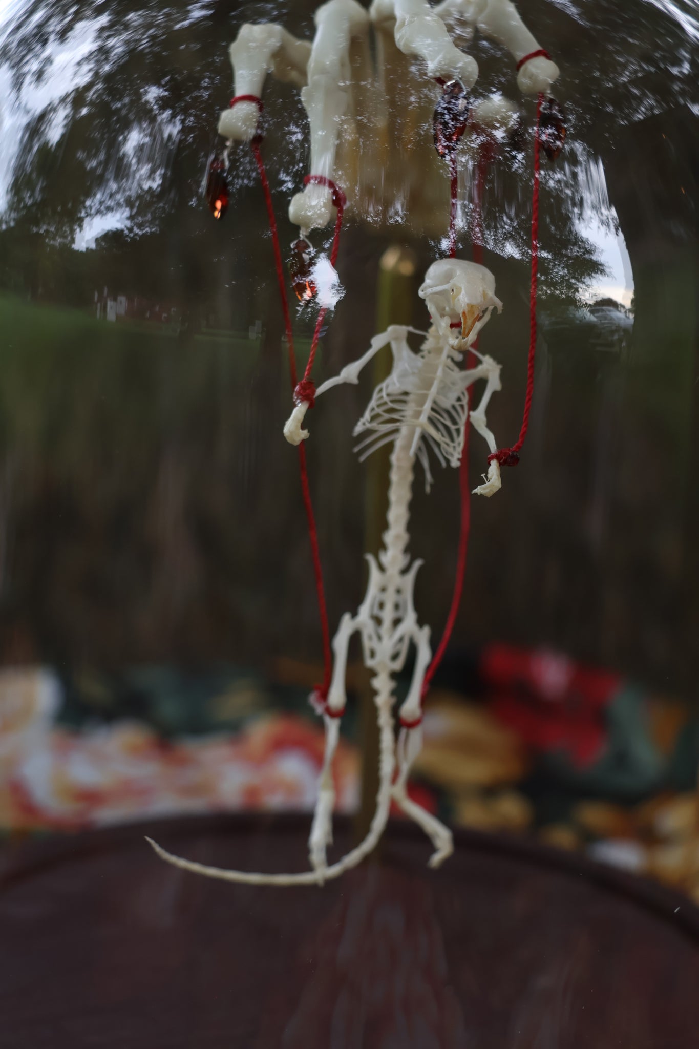 The Puppeteer
