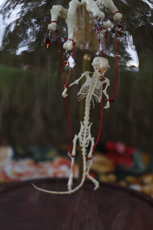 The Puppeteer