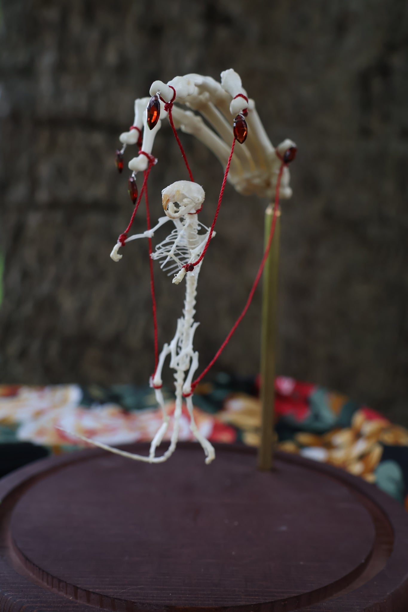 The Puppeteer