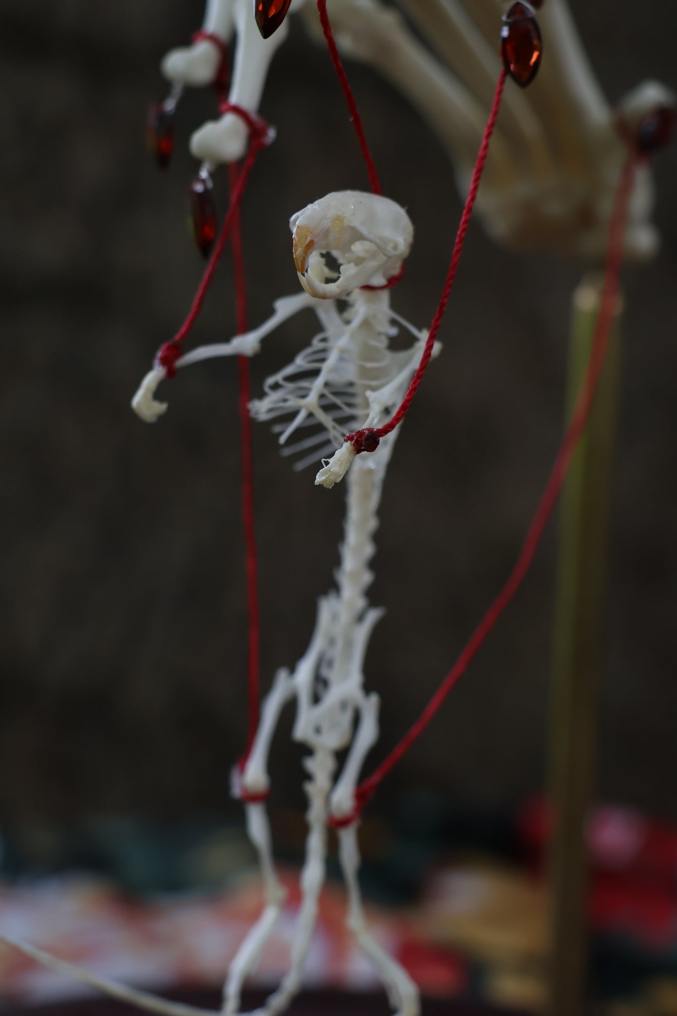 The Puppeteer