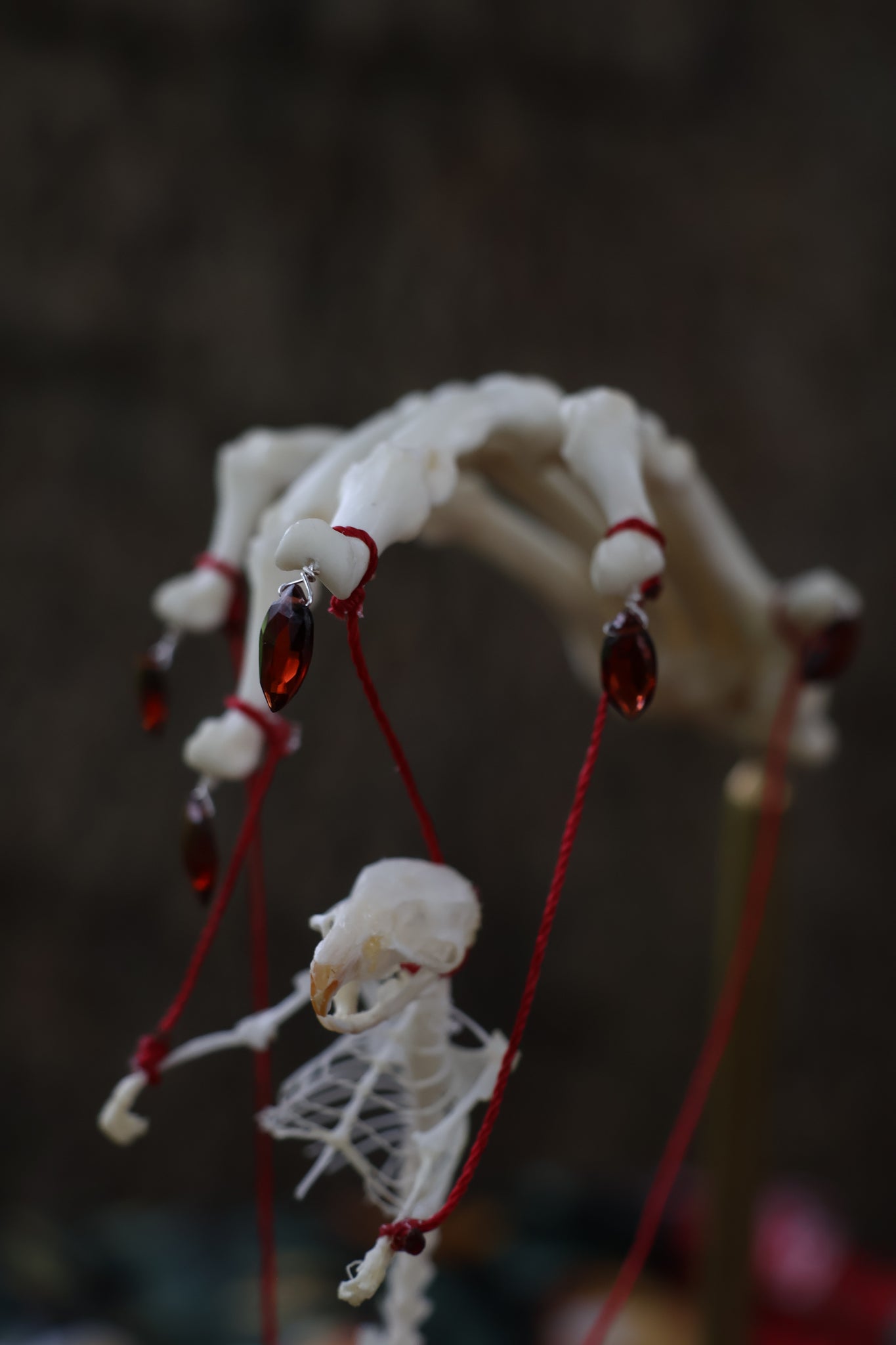 The Puppeteer