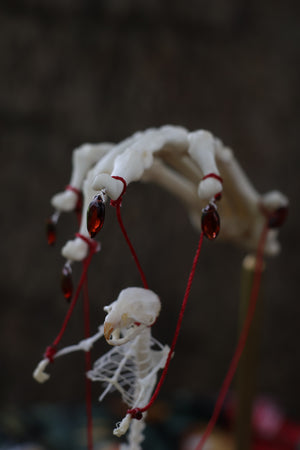 The Puppeteer