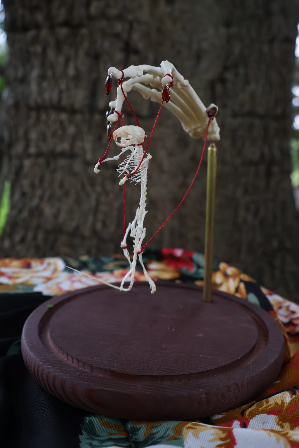 The Puppeteer