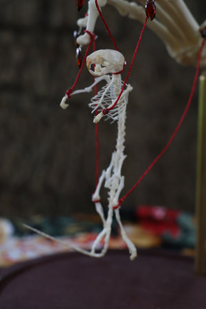 The Puppeteer