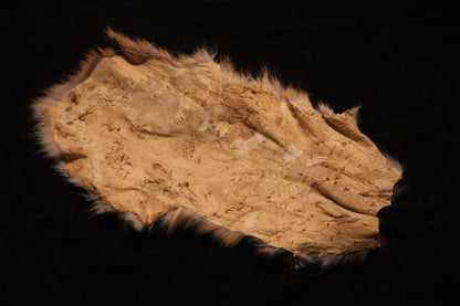Craft Red Fox Pelt