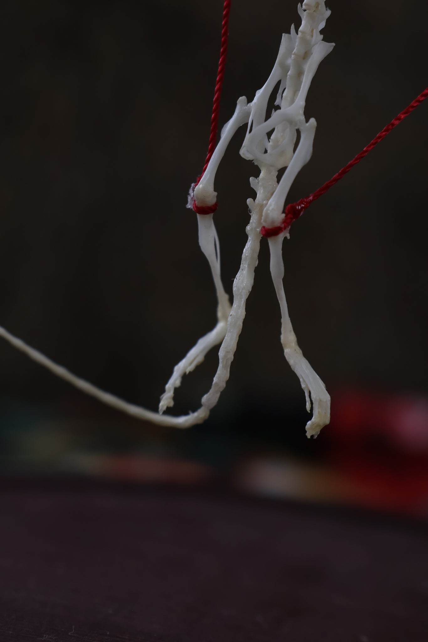 The Puppeteer