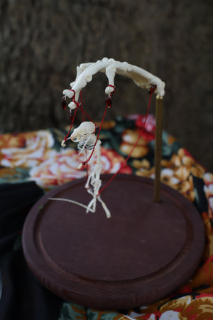 The Puppeteer