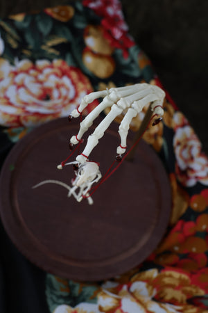 The Puppeteer