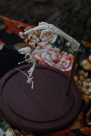 The Puppeteer