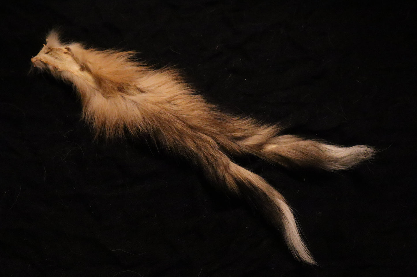 Craft Red Fox Tail