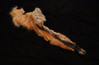 Craft Red Fox Arms