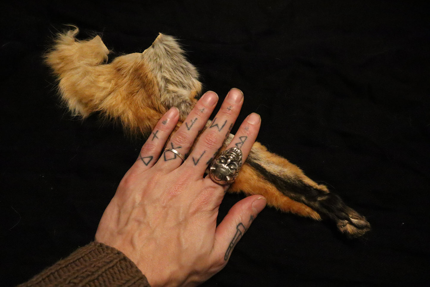 Craft Red Fox Arms