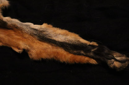 Craft Red Fox Arms