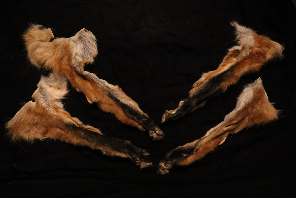 Craft Red Fox Arms