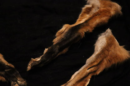 Craft Red Fox Arms