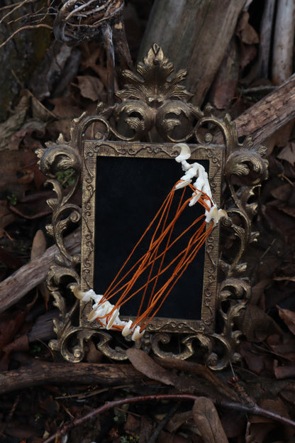 Bobcat's Cradle