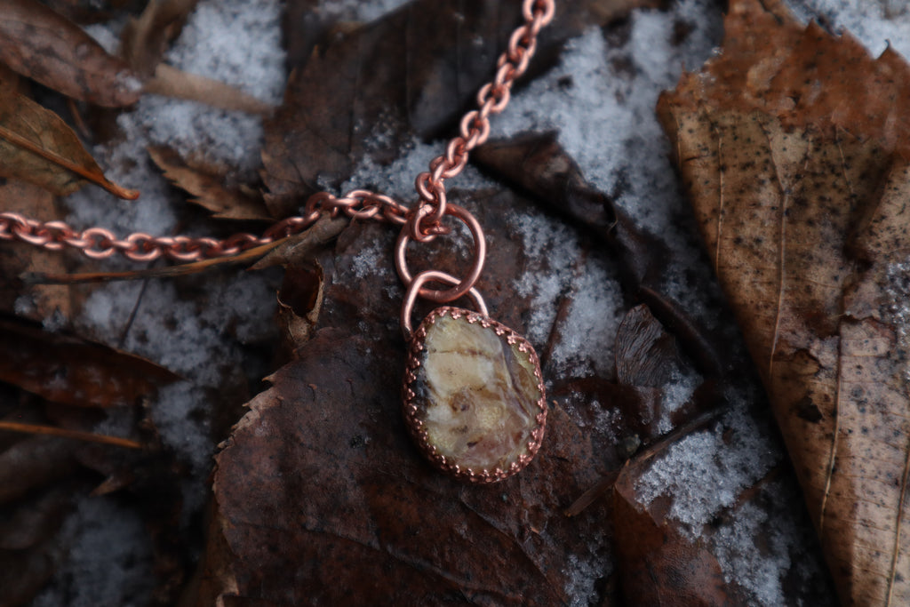 Coyote Carpal Necklace