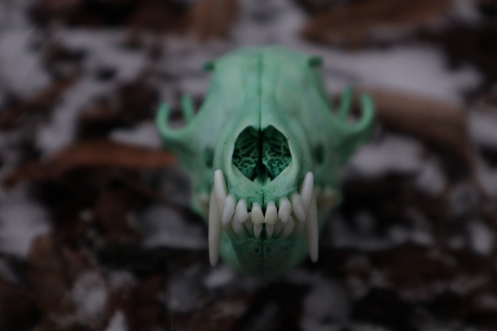 Blue Copper Red Fox Skull