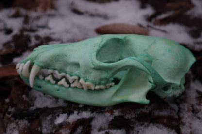 Blue Copper Red Fox Skull