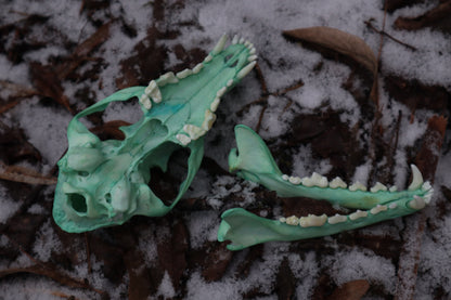 Blue Copper Red Fox Skull