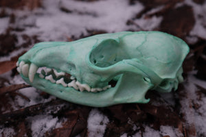 Blue Copper Red Fox Skull