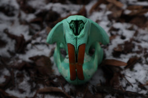 Blue Copper Beaver Skull