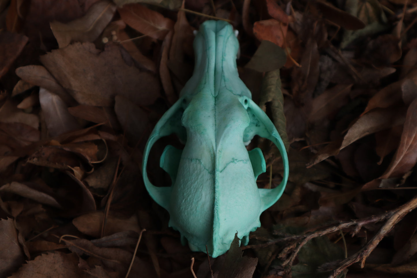 Blue Copper Coyote Skull
