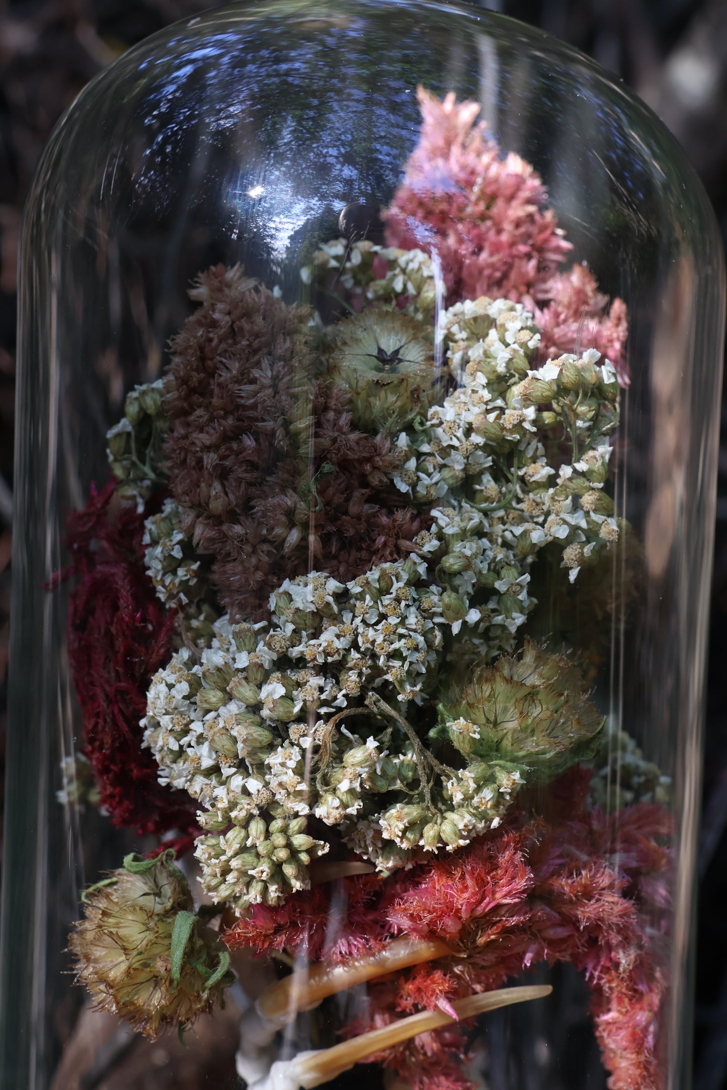 Bouquet of Embers II