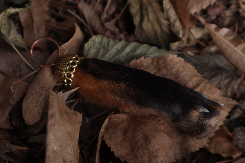 Red Fox Paw Keychain