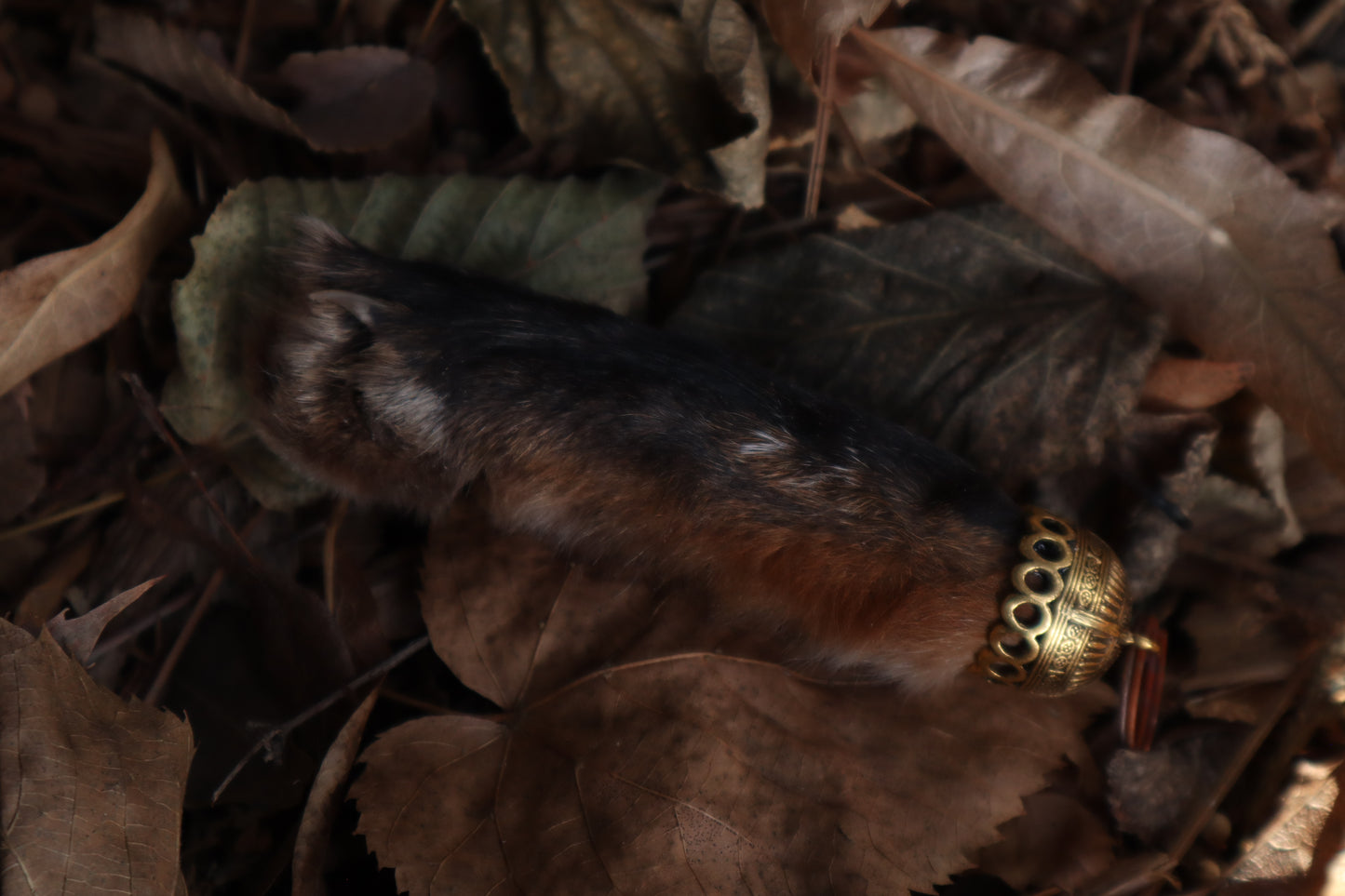 Red Fox Paw Keychain