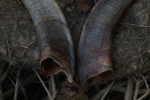 Goat Horns