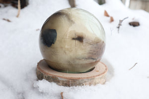 Birch Bound Opossum Crystal Ball