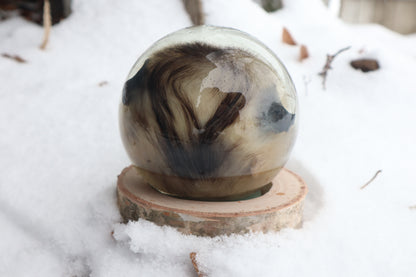Birch Bound Opossum Crystal Ball