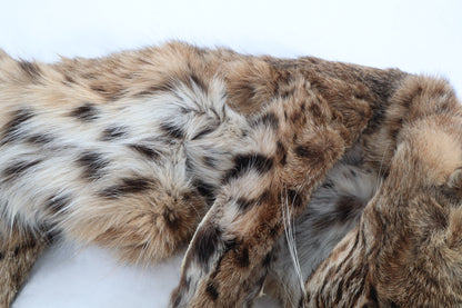 Lifesize Bobcat - Taxidermy Quality