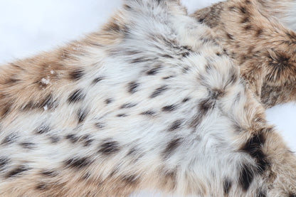 Lifesize Bobcat - Taxidermy Quality