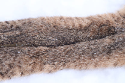 Lifesize Bobcat - Taxidermy Quality