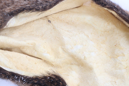 Lifesize Bobcat - Taxidermy Quality