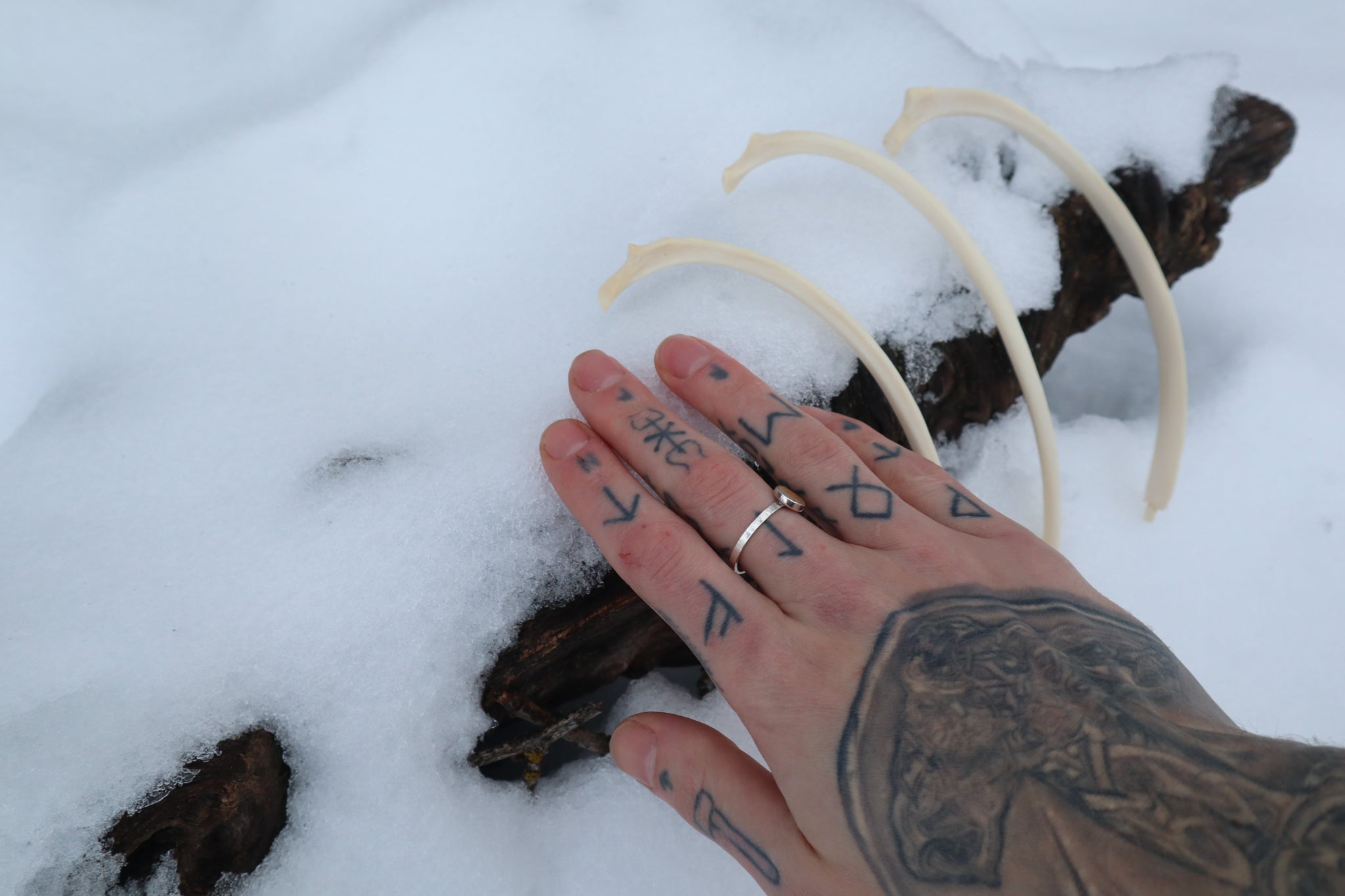 Wolf Rib – Freyja's Forest