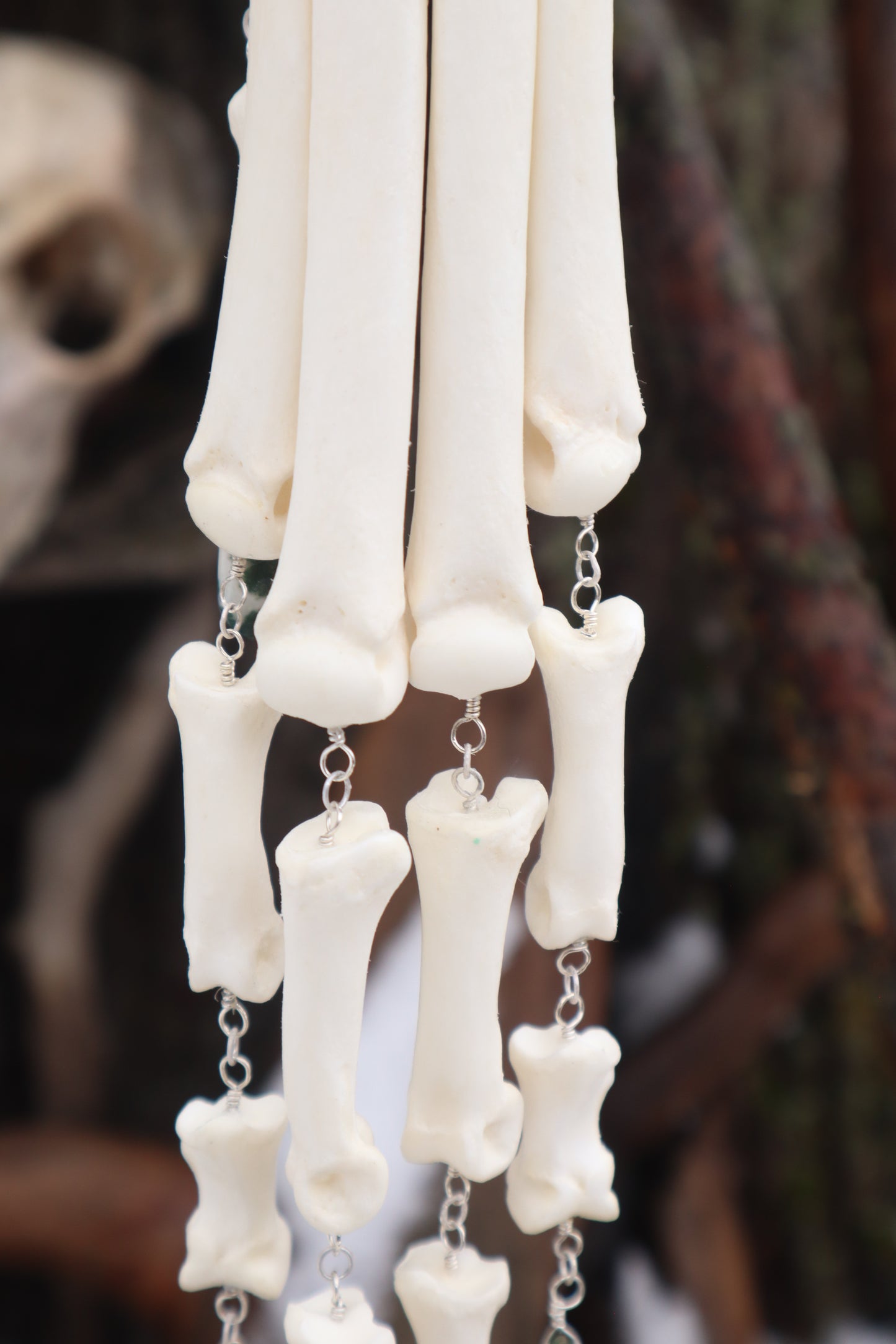 Fluid Wolf Paw Articulation with Tree Agate "Claws"