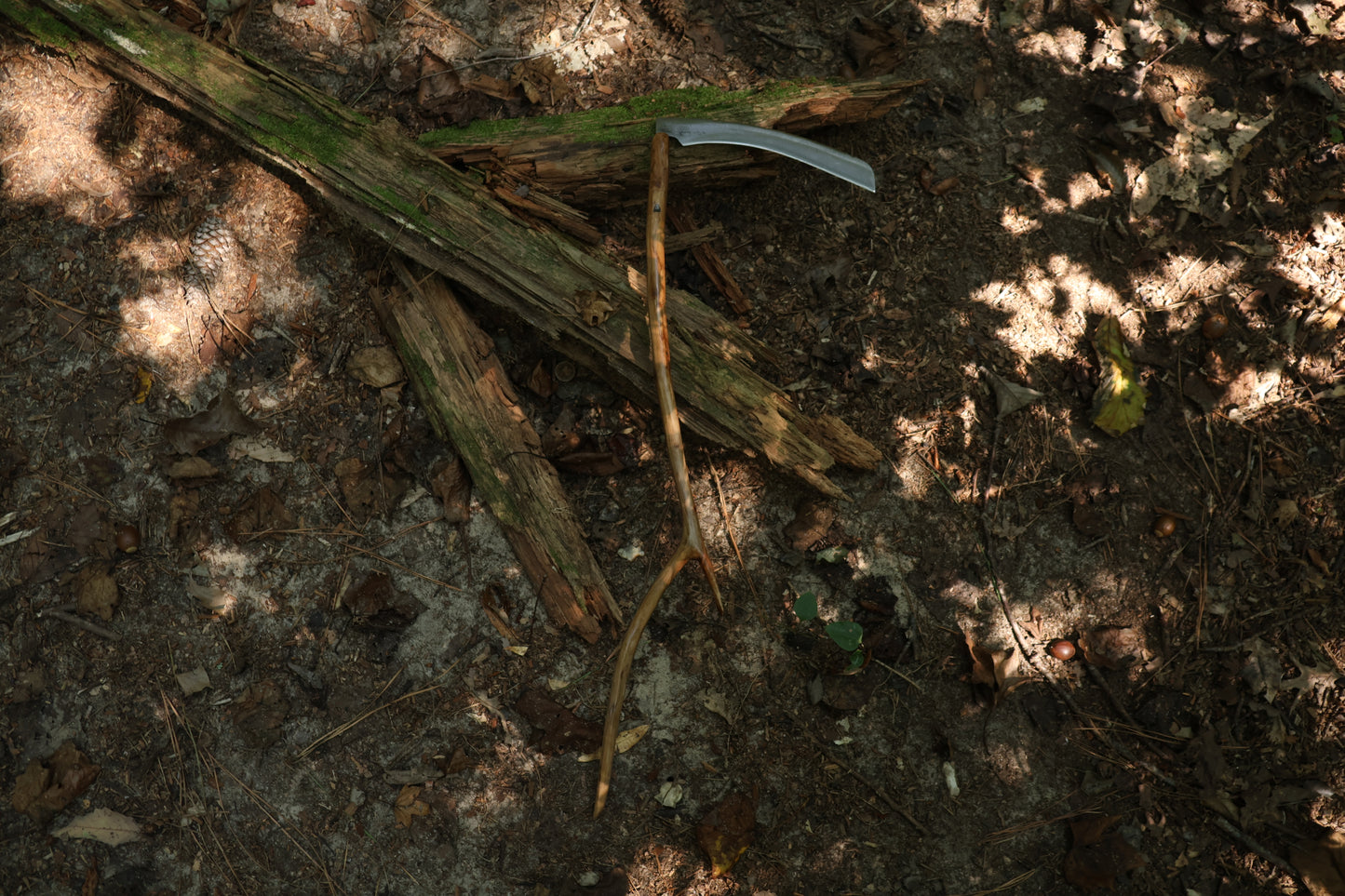 Black Walnut Scythe