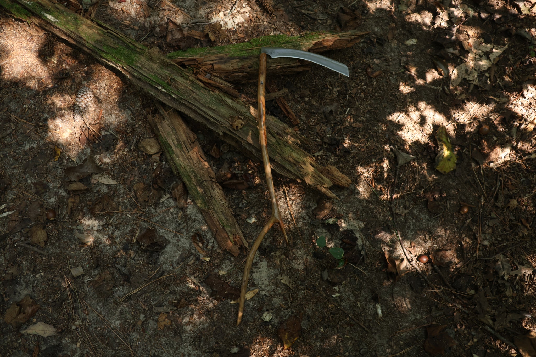 Black Walnut Scythe