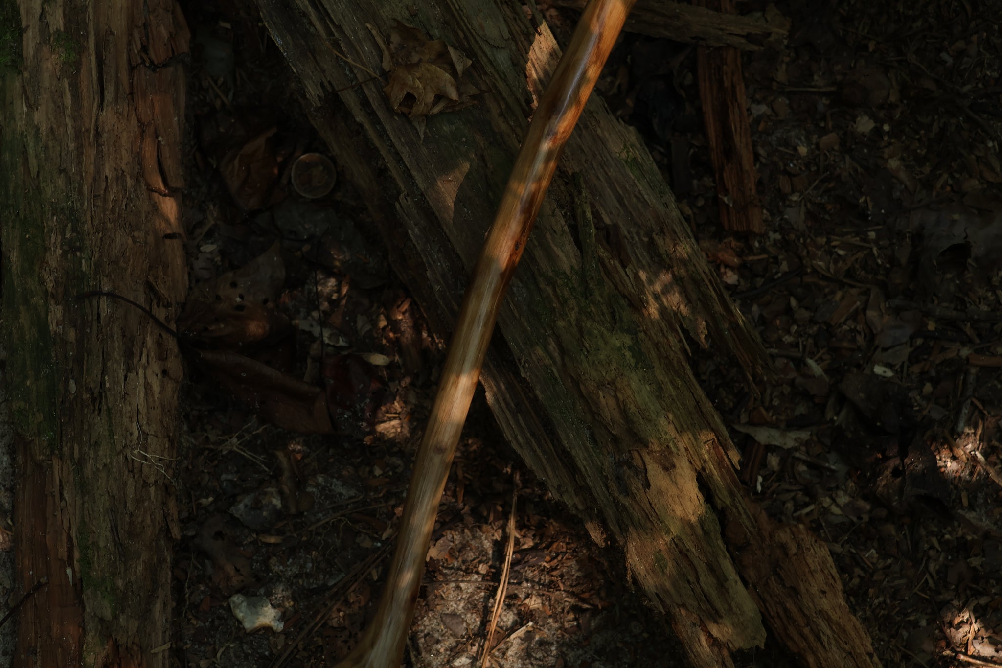 Black Walnut Scythe
