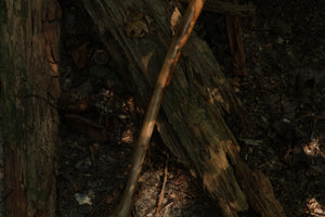 Black Walnut Scythe