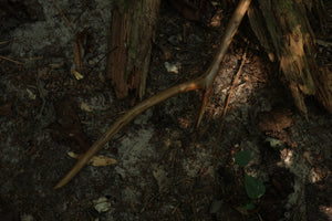Black Walnut Scythe