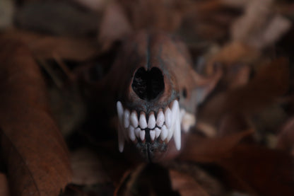 Celestial Red Fox Skull