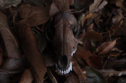 Celestial Red Fox Skull